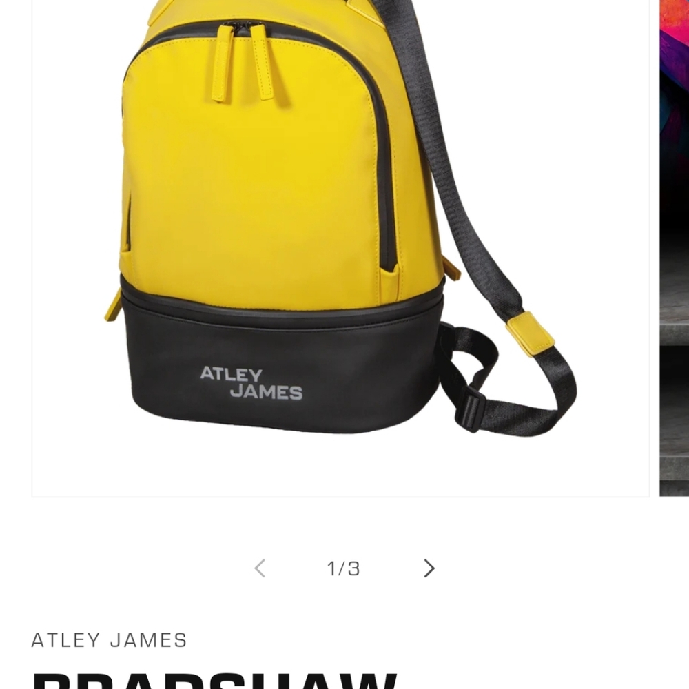 Atley James Backpack